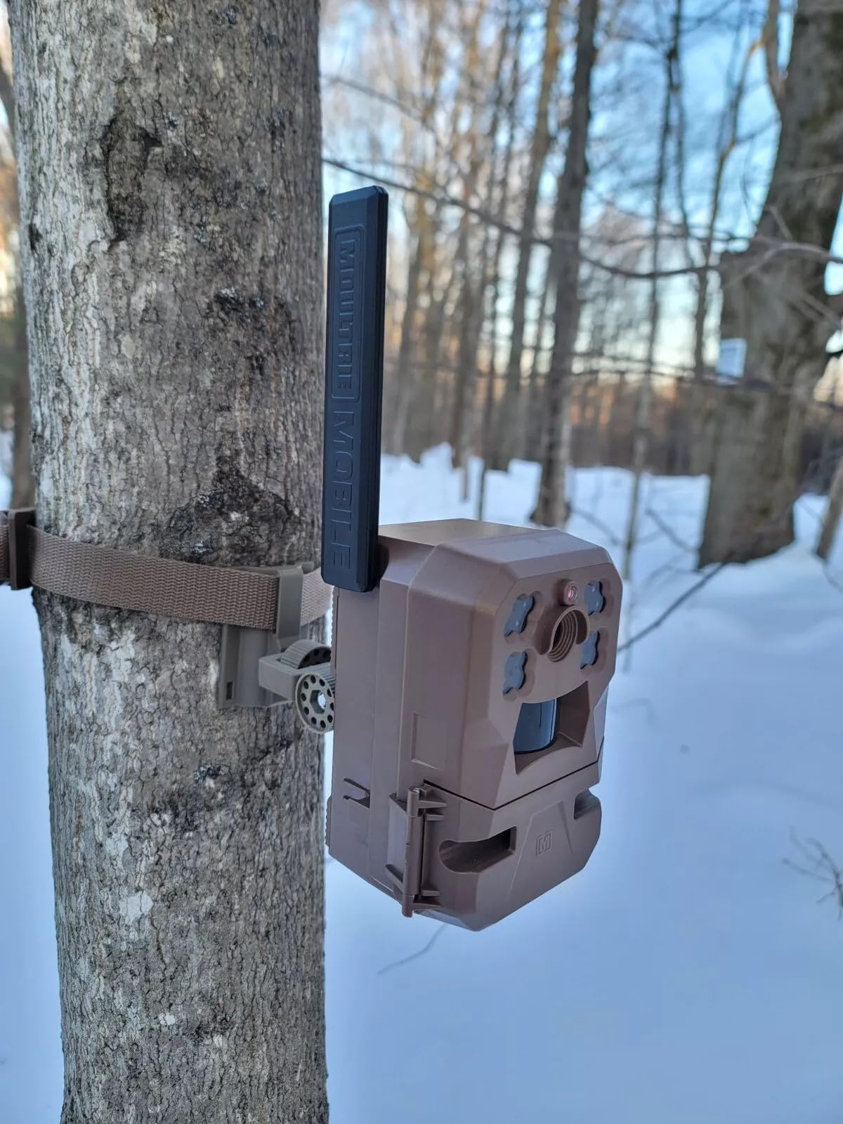The ADK Edge Trail Camera Mount for Moultrie Edge / Pro / 2.0 / 3.0 / SOLAR